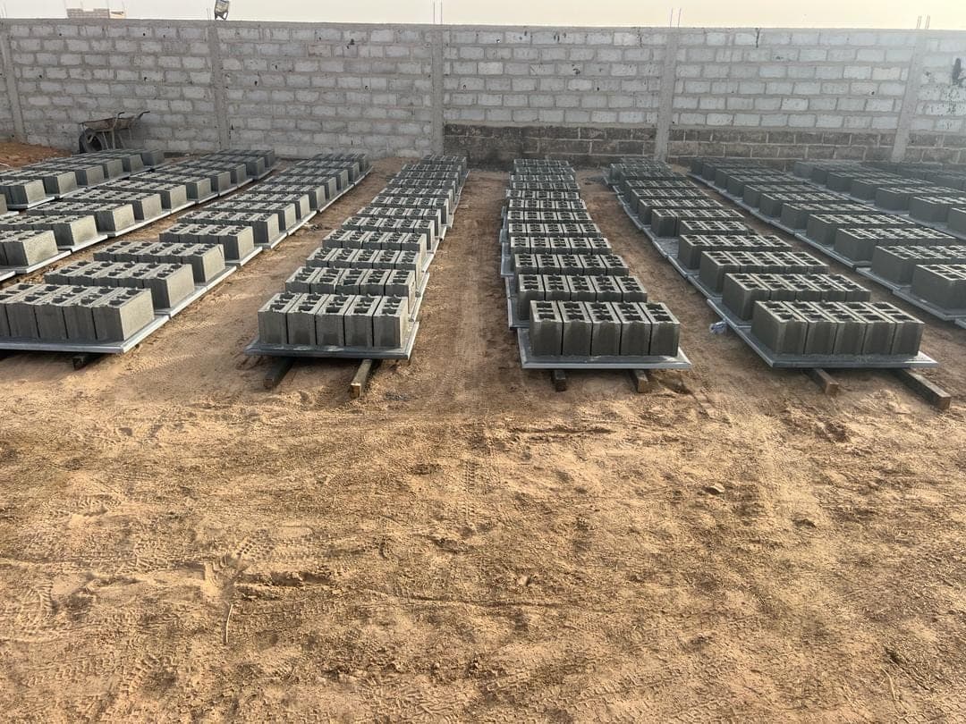 Rows of pallets with fresh products on timber battens along the block boundary wall of the curing yard, Senegal