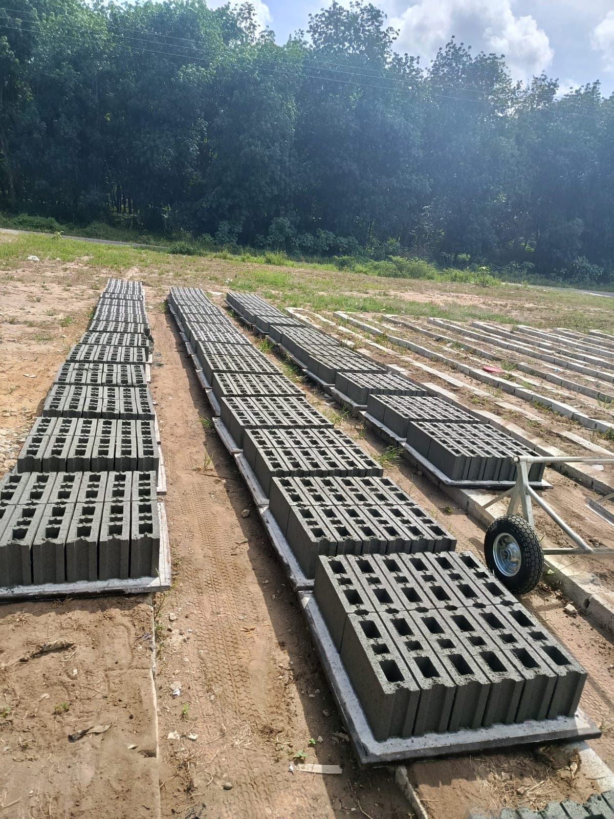 Curing yard with rows of fresh 20 cm hollow blocks from the BLOCKMASTER 8 in Abidjan
